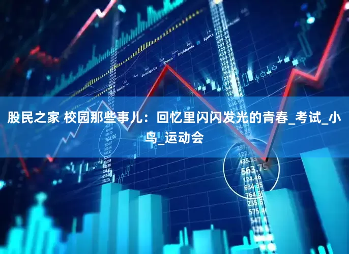 股民之家 校园那些事儿：回忆里闪闪发光的青春_考试_小鸟_运动会