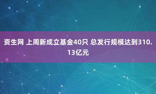 资生网 上周新成立基金40只 总发行规模达到310.13亿元