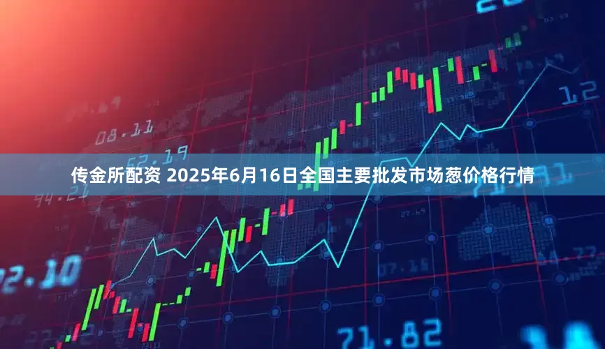 传金所配资 2025年6月16日全国主要批发市场葱价格行情
